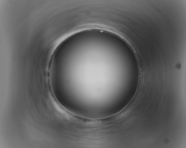 X0000112961535200908271104
