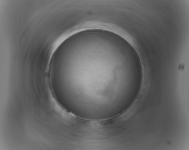 X0000112961536200908271104