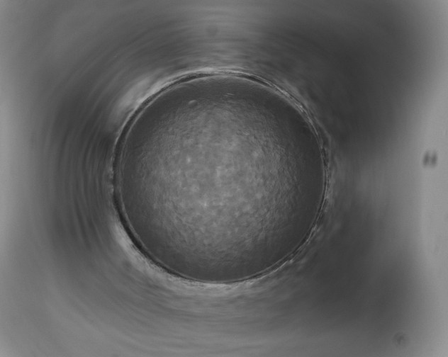 X0000112960002200909031033