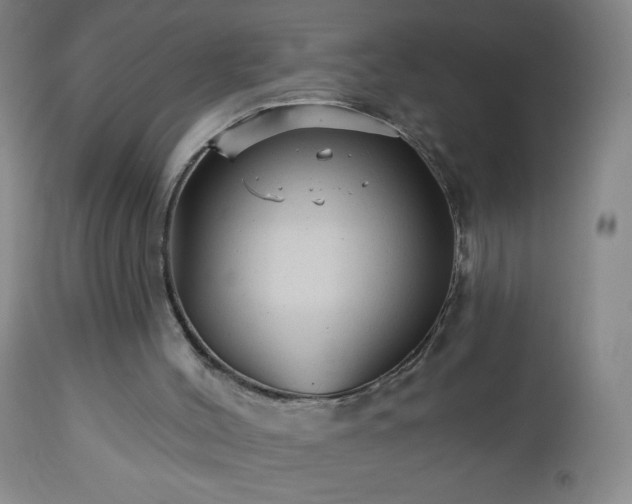 X0000112960004200909031033