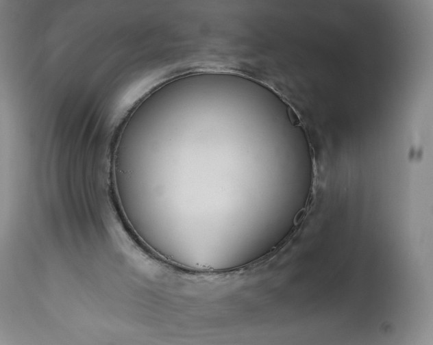 X0000112960005200909031033