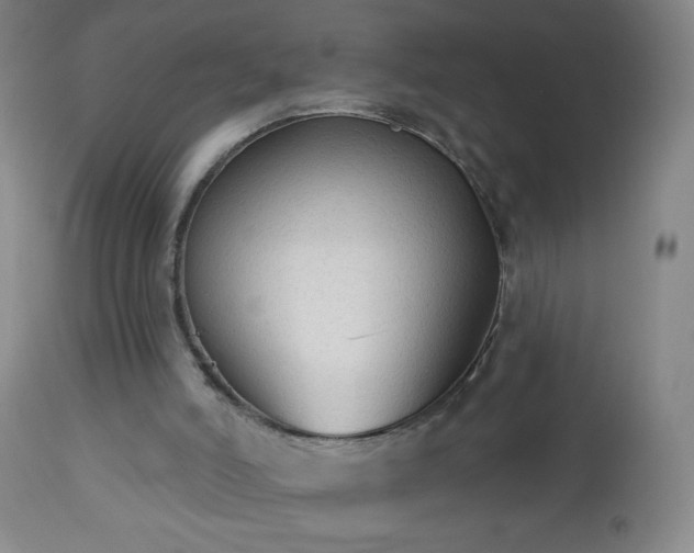 X0000112960006200909031033