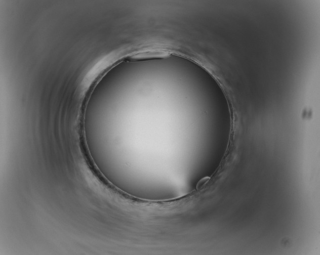 X0000112960007200909031033