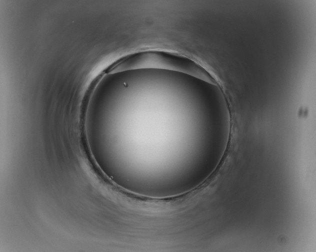 X0000112960008200909031033