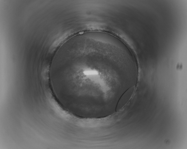 X0000112960009200909031033