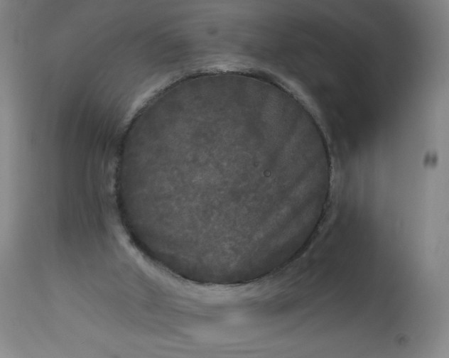 X0000112960010200909031033