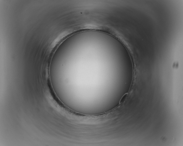 X0000112960011200909031033