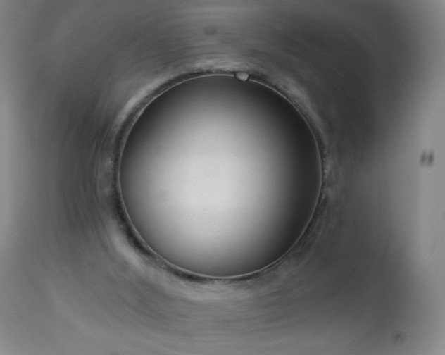 X0000112960012200909031033