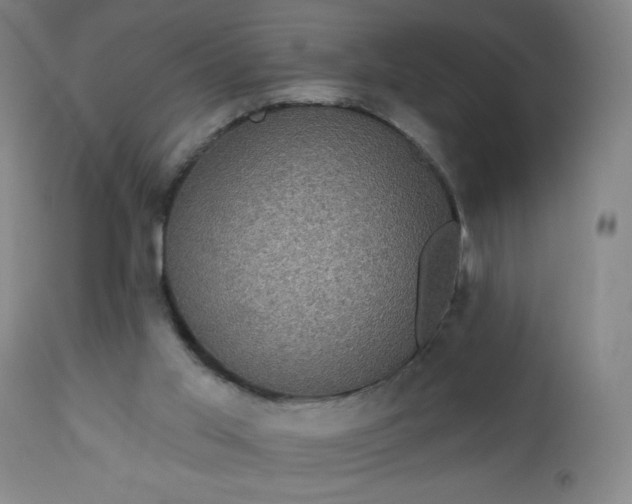 X0000112960013200909031033