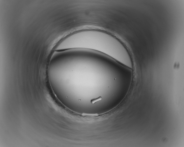 X0000112960015200909031033