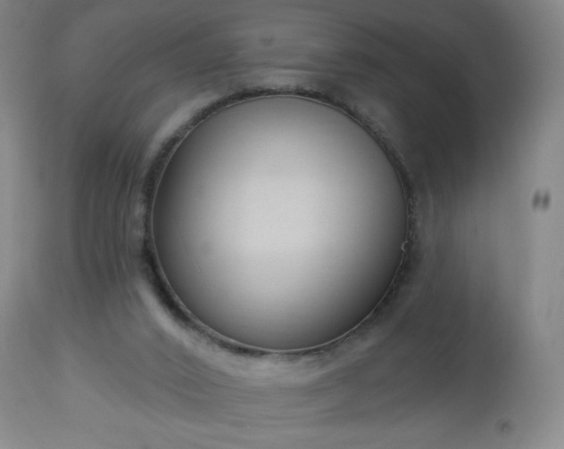 X0000112960016200909031033