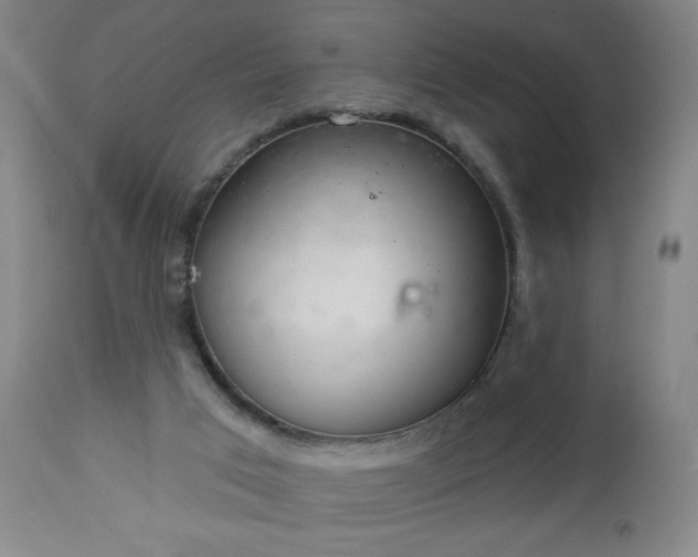 X0000112960017200909031033