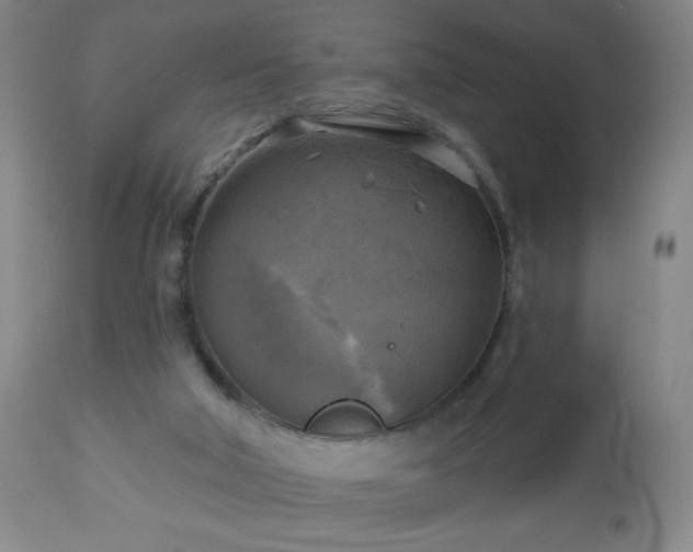 X0000112960018200909031033