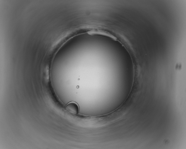 X0000112960020200909031032