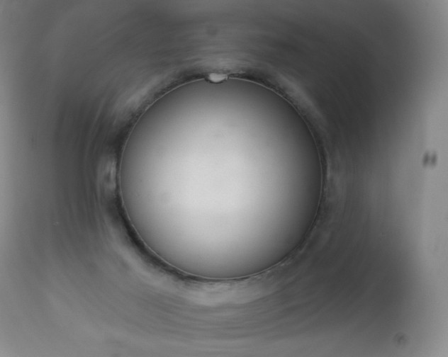 X0000112960021200909031032