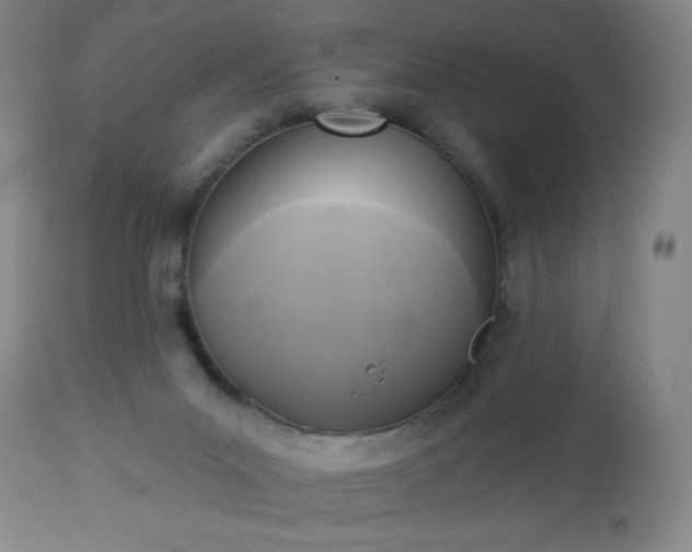 X0000112960023200909031032