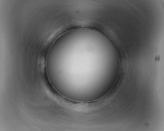 X0000112960024200909031032