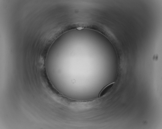 X0000112960025200909031032