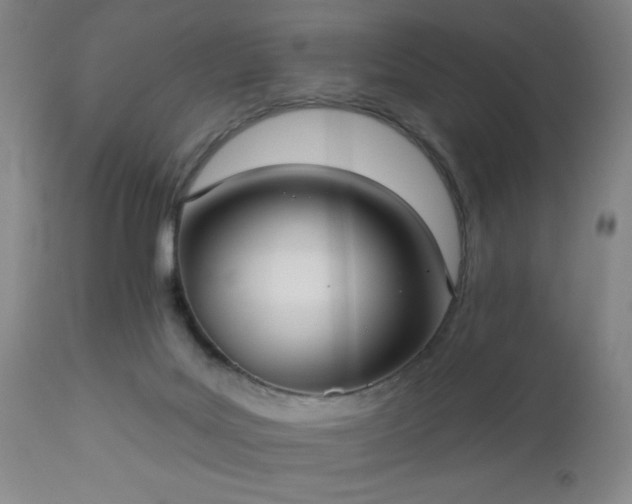 X0000112960027200909031032