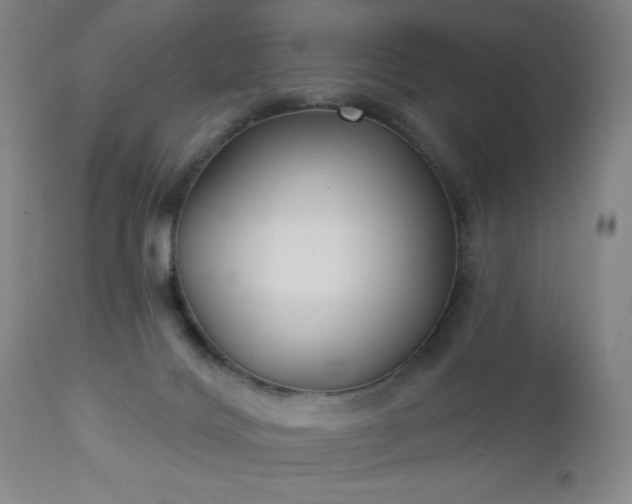 X0000112960028200909031032