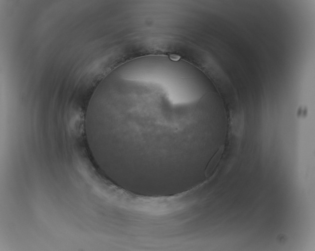 X0000112960029200909031032