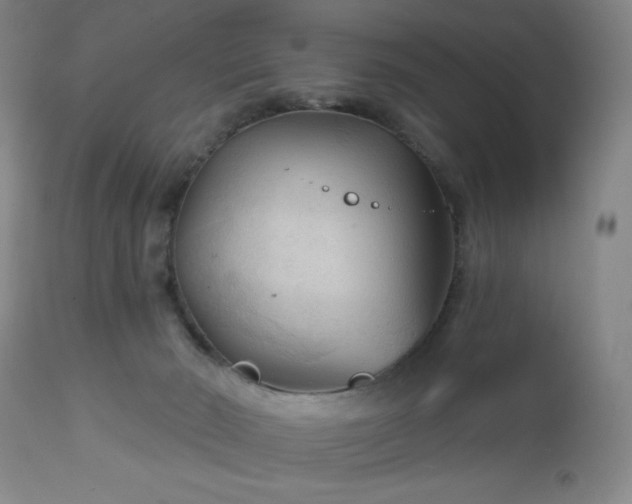 X0000112960030200909031032