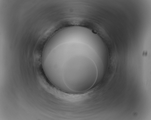 X0000112960031200909031032