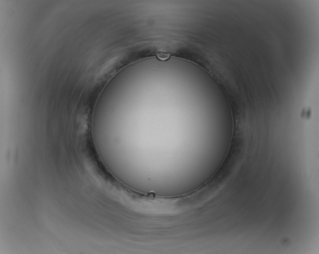 X0000112960032200909031032