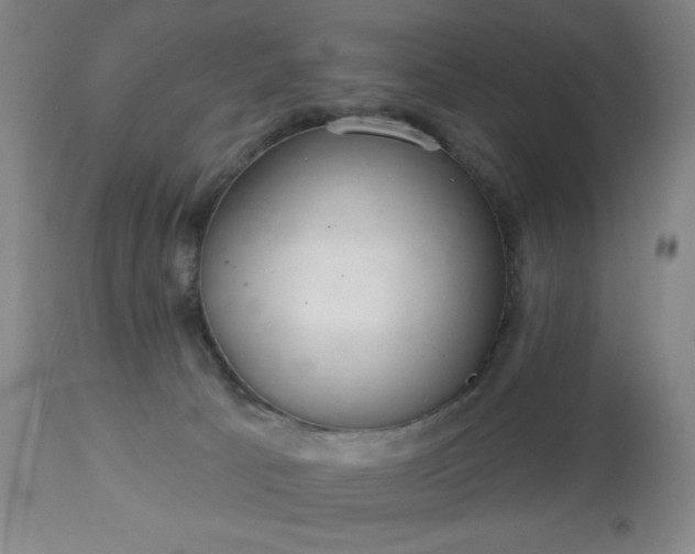 X0000112960033200909031032