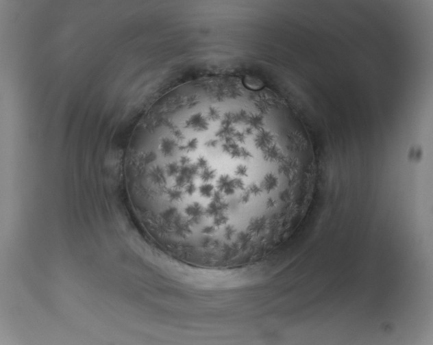 X0000112960034200909031032