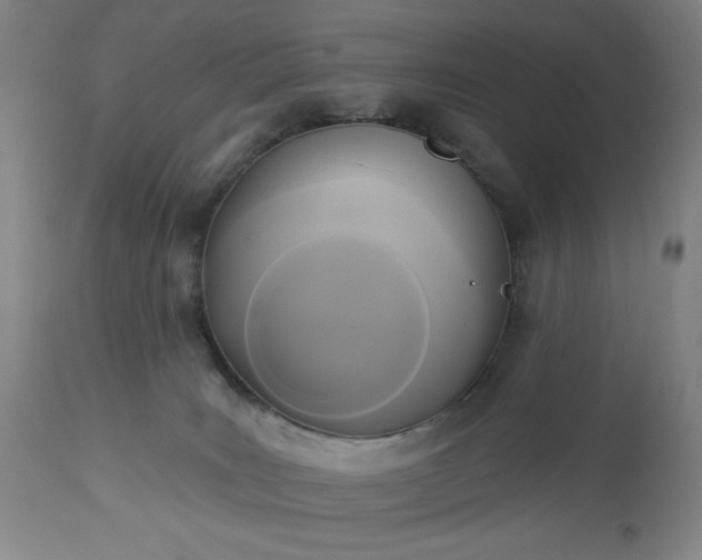 X0000112960035200909031032