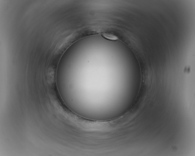 X0000112960036200909031032