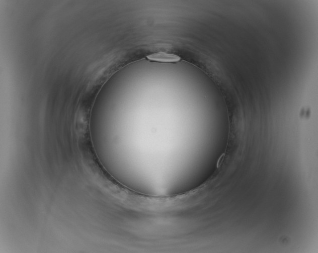 X0000112960037200909031032