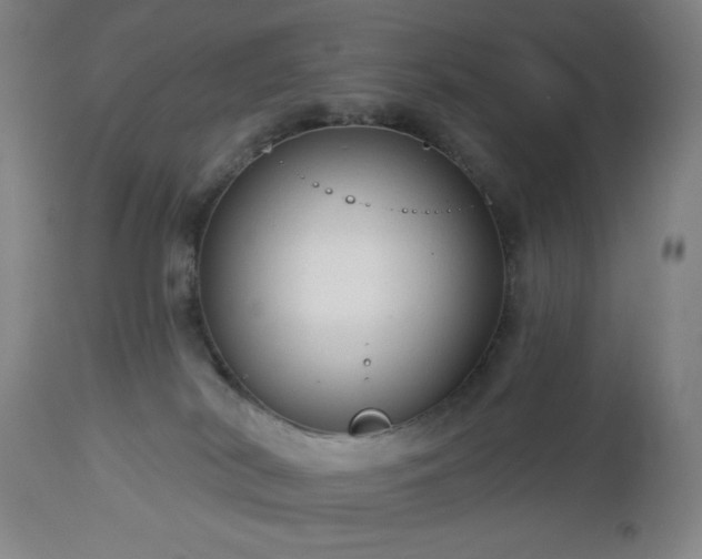 X0000112960038200909031032