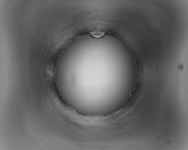 X0000112960040200909031032