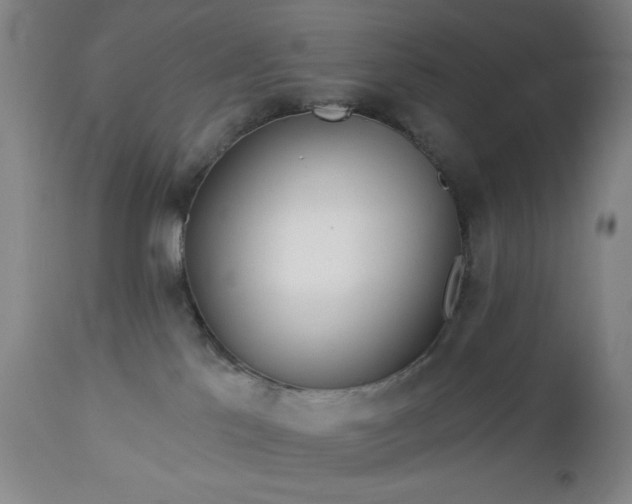 X0000112960041200909031032