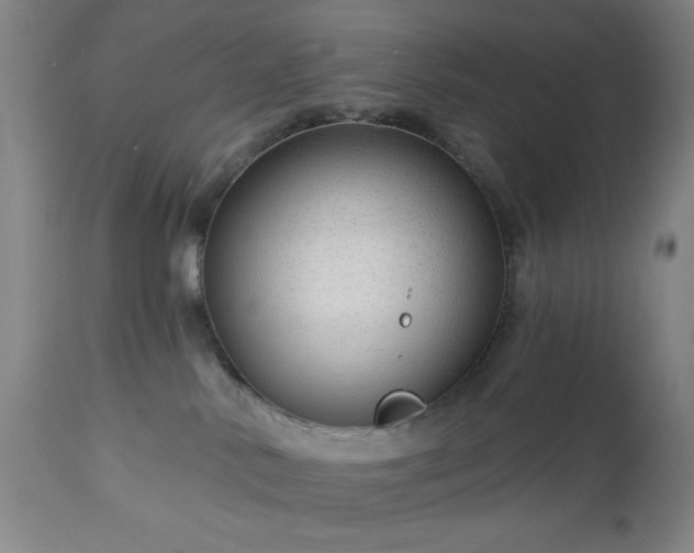 X0000112960042200909031032