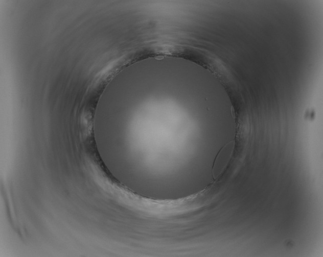 X0000112960043200909031032