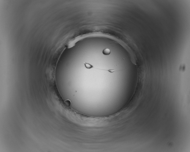 X0000112960044200909031032