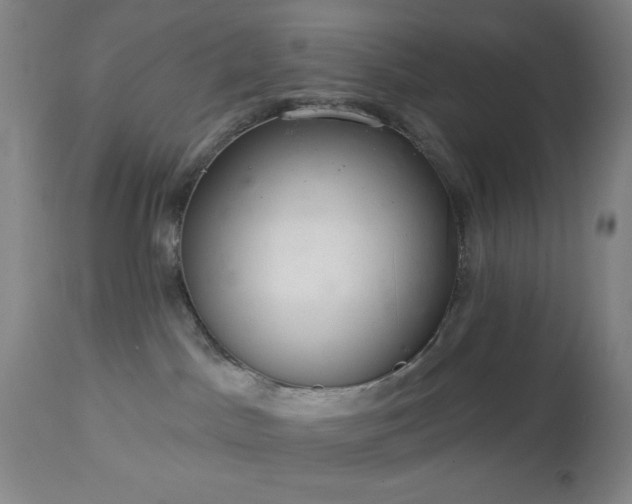 X0000112960045200909031032