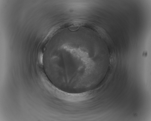 X0000112960046200909031032