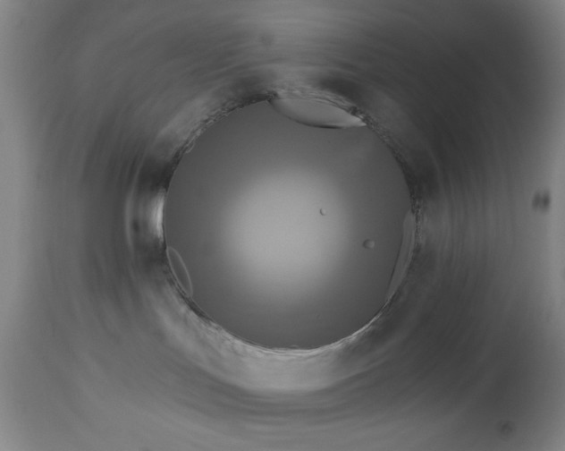 X0000112960047200909031032