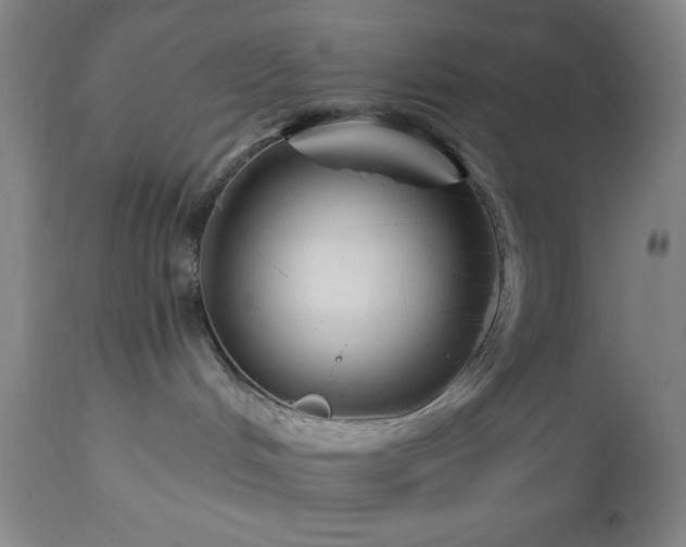 X0000112960048200909031032