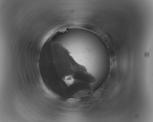 X0000112960051200909031031