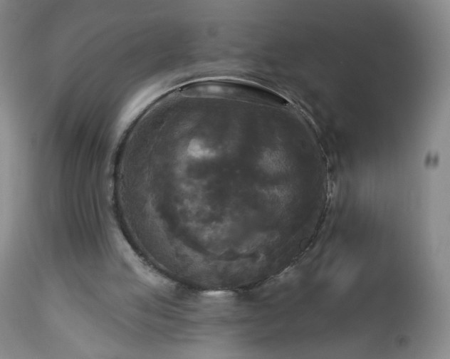 X0000112960053200909031032