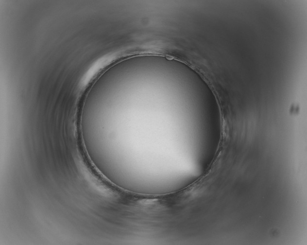 X0000112960054200909031032