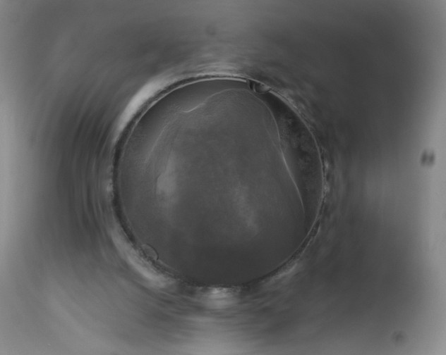 X0000112960056200909031032