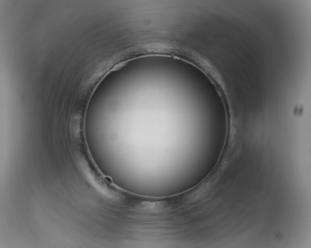 X0000112960057200909031032