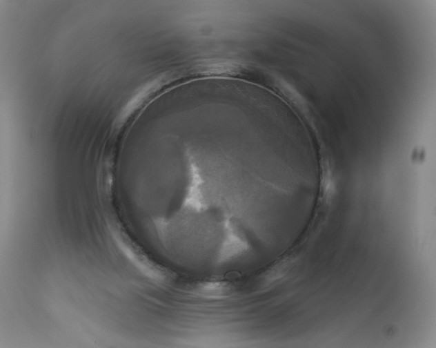 X0000112960059200909031032