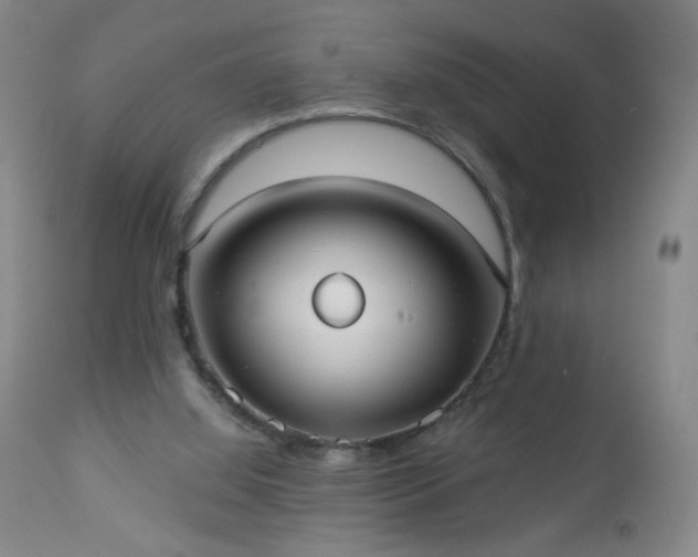 X0000112960060200909031032